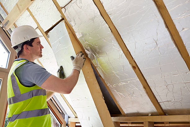 Best Fiberglass Insulation in La Porte, TX