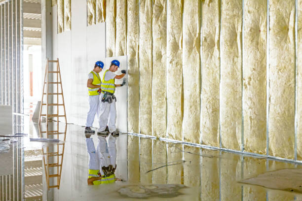 Best Cellulose Insulation in La Porte, TX